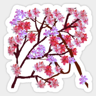 Spring in Korea,a feast of flowers,red flower Sticker